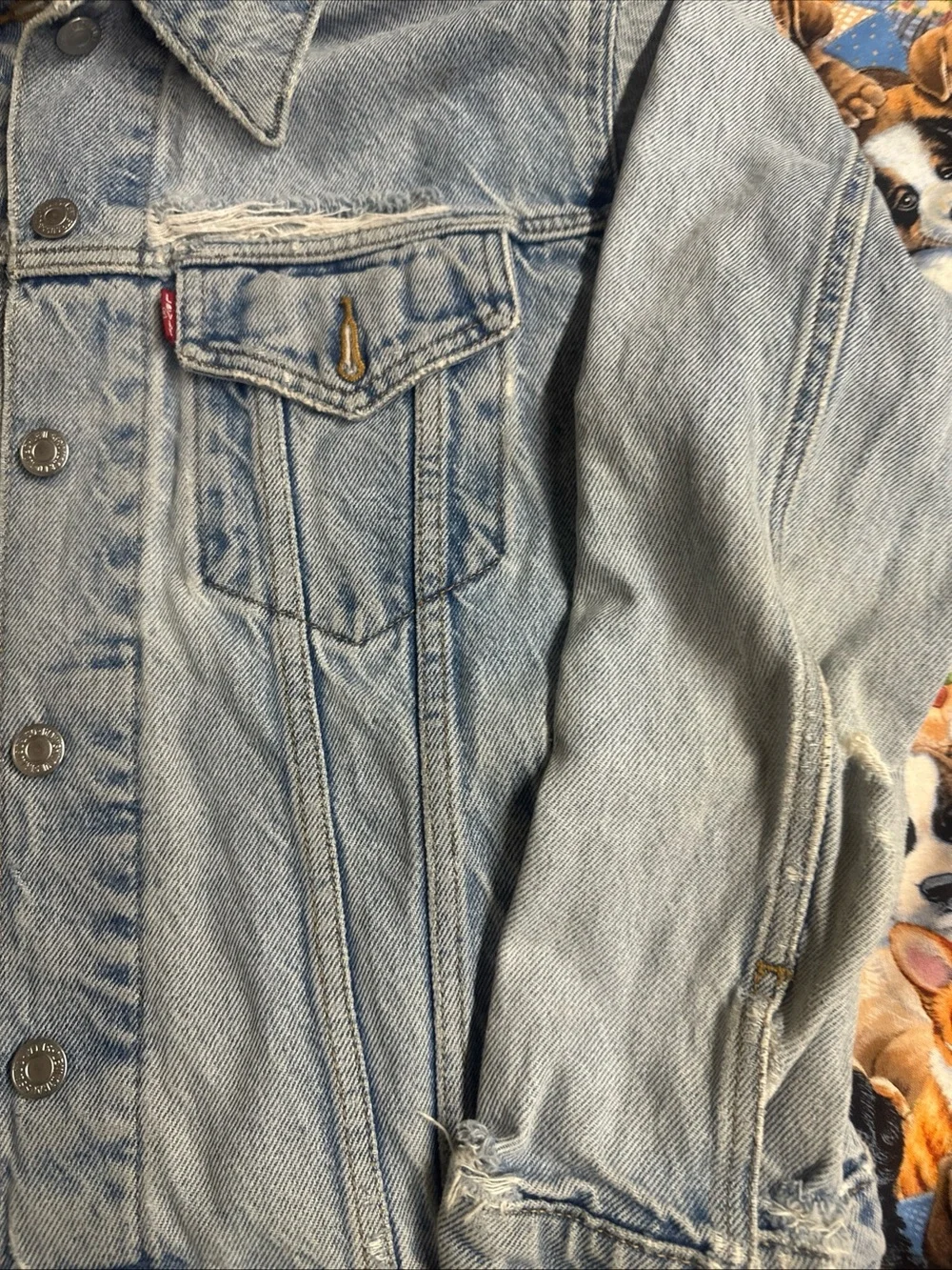 Levis authentic levi